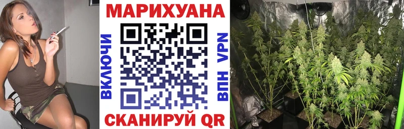 Бошки Шишки Bruce Banner  KRAKEN ТОР  Никольское 